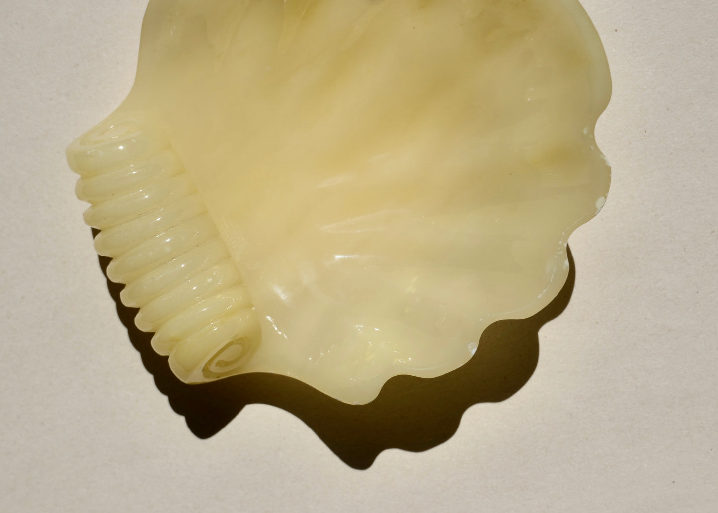 Coupelle coquillage