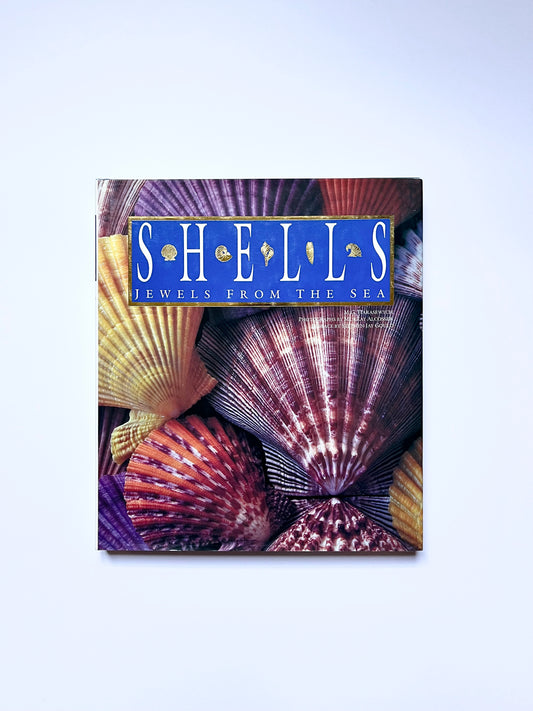 Shells, jewels from the sea