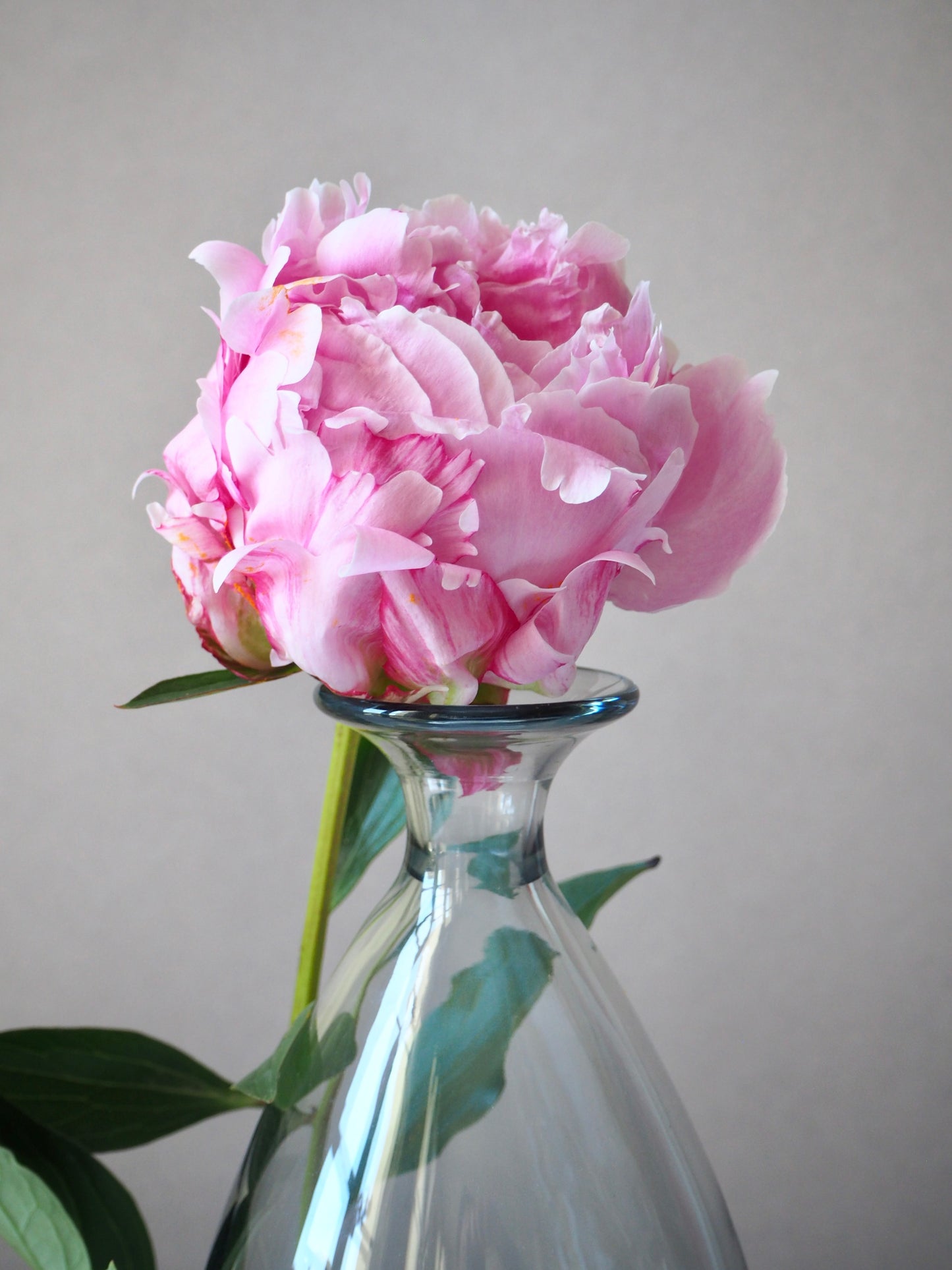 La carafe en verre soufflé