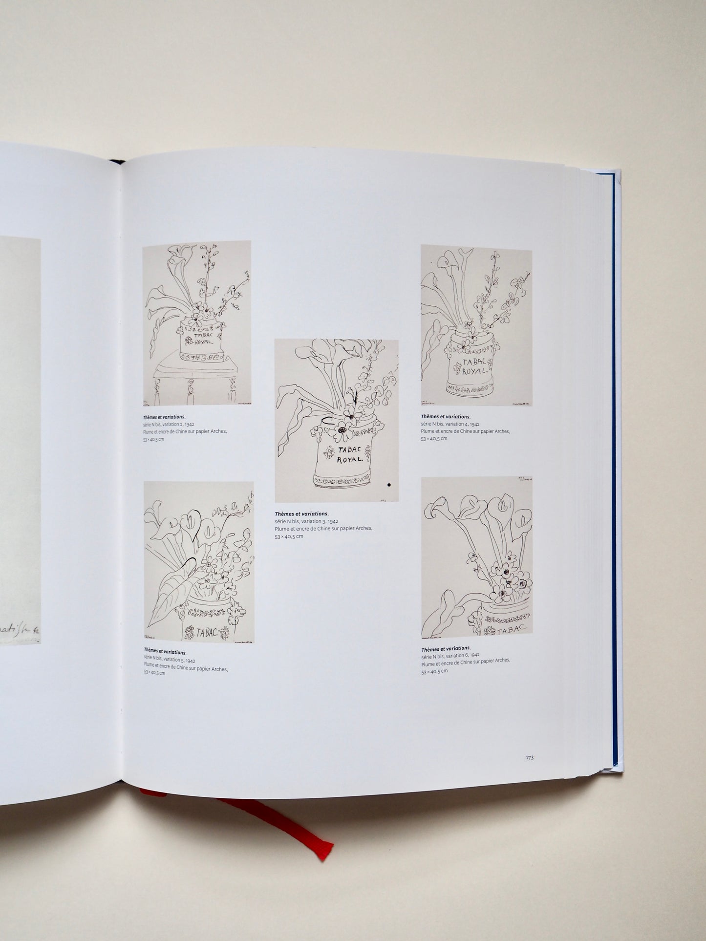 Matisse, comme un roman