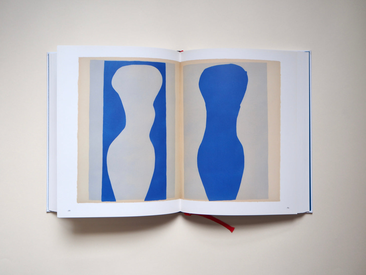 Matisse, comme un roman