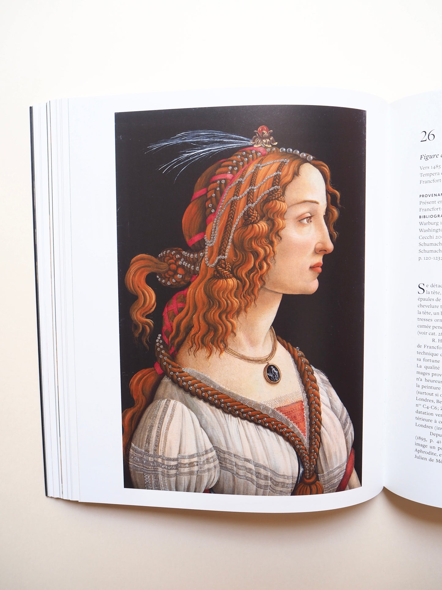 Botticelli, artiste et designer, Musée Jacquemart André