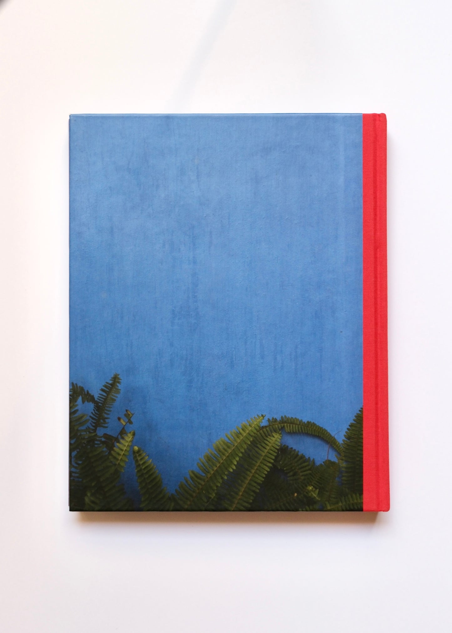 Frida Kahlo, Making herself up