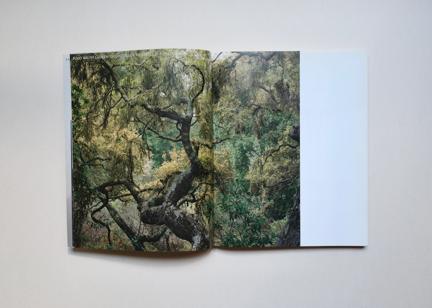 Fashion magazine by Alec Soth. Paris Minnesota