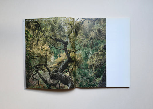 Fashion magazine by Alec Soth. Paris Minnesota
