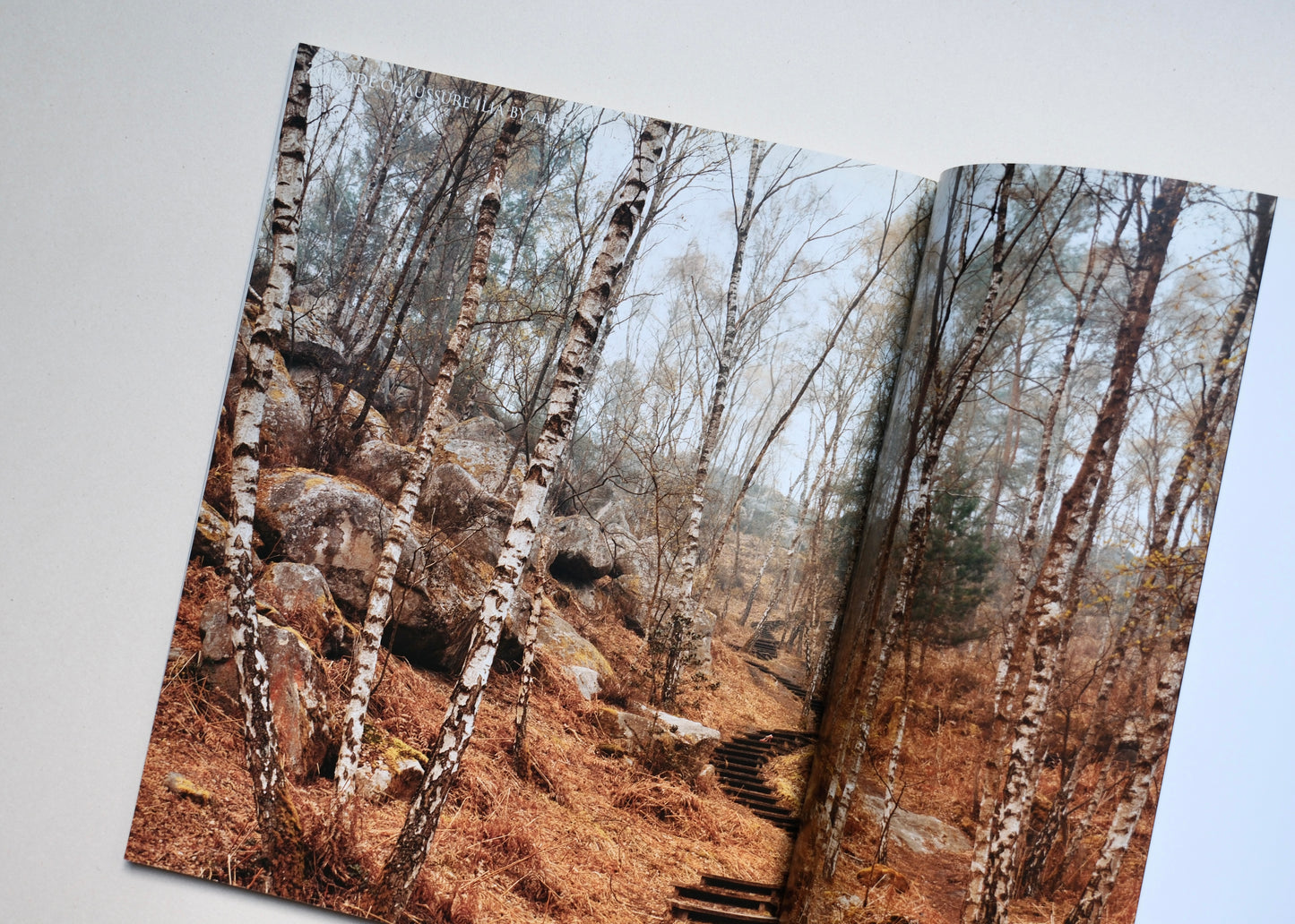 Fashion magazine by Alec Soth. Paris Minnesota