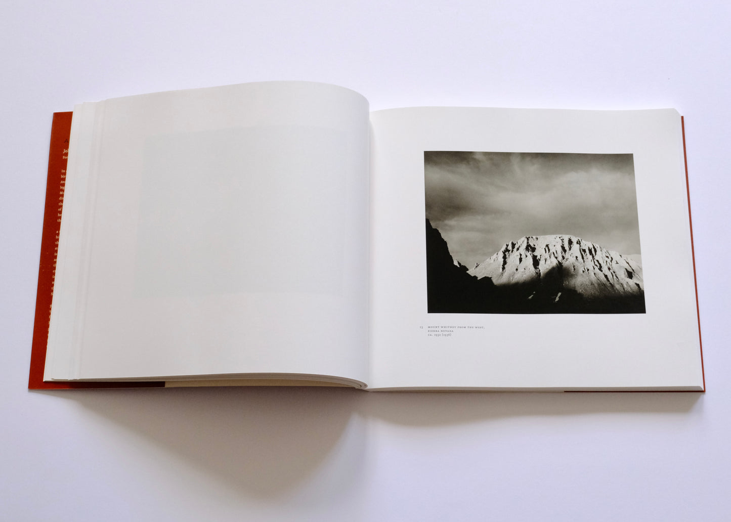 Ansel Adams at 100