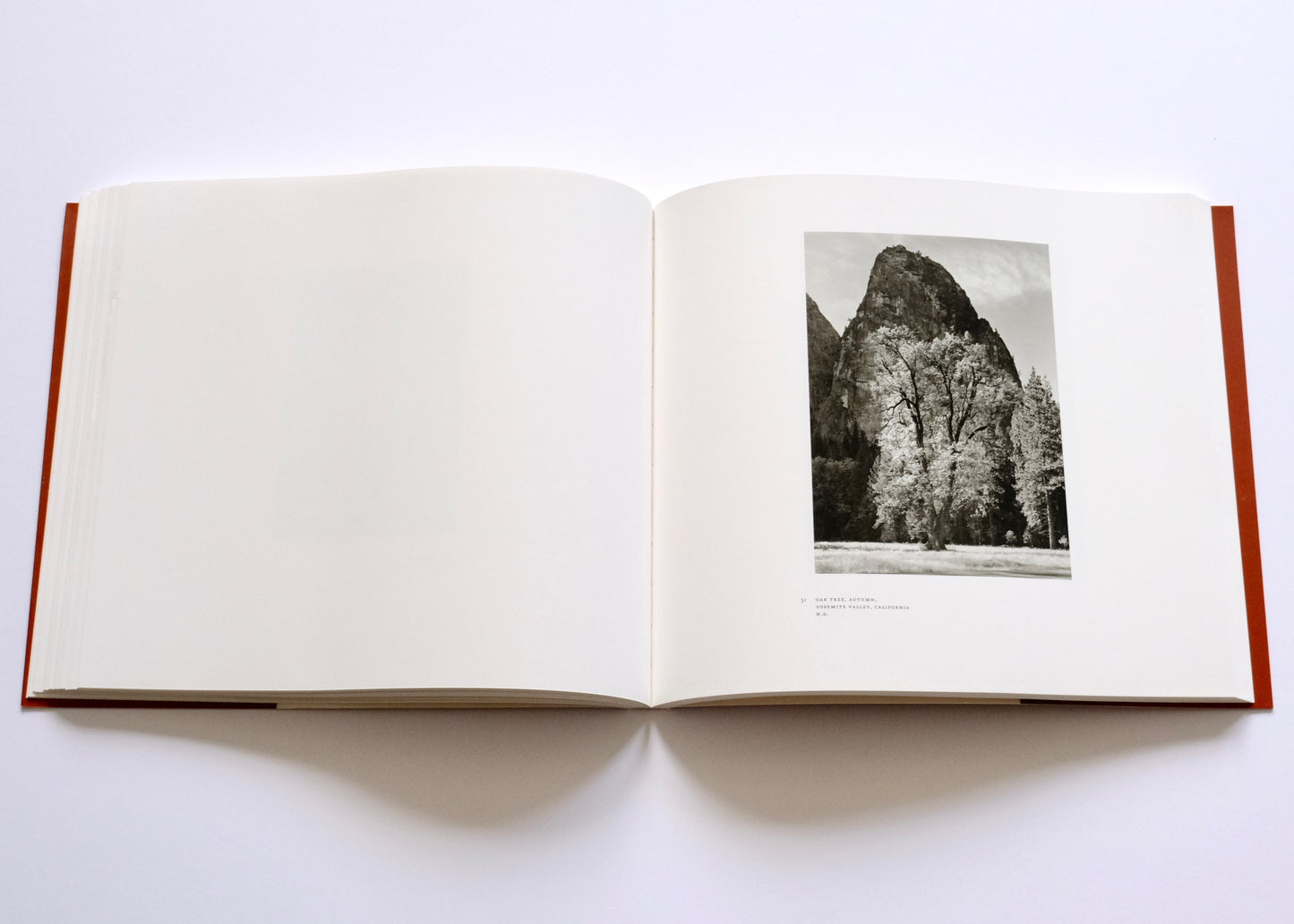 Ansel Adams at 100