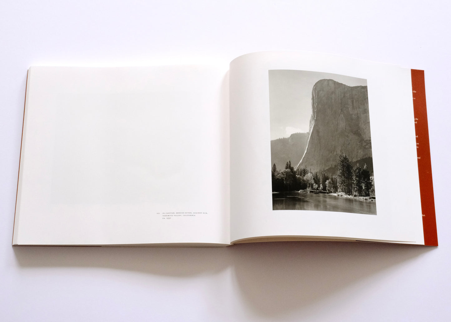 Ansel Adams at 100