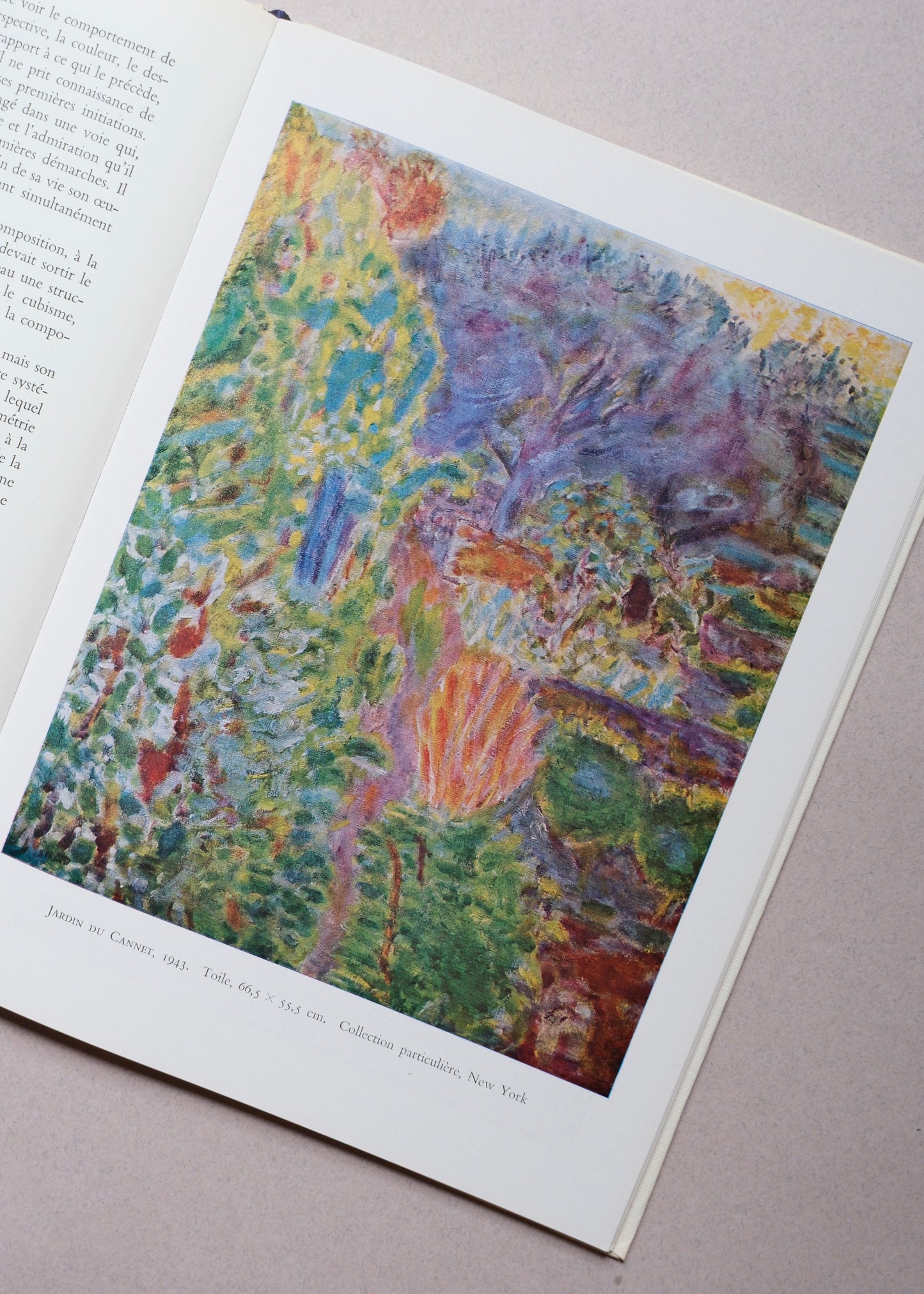 Bonnard par Raymond Cogniat