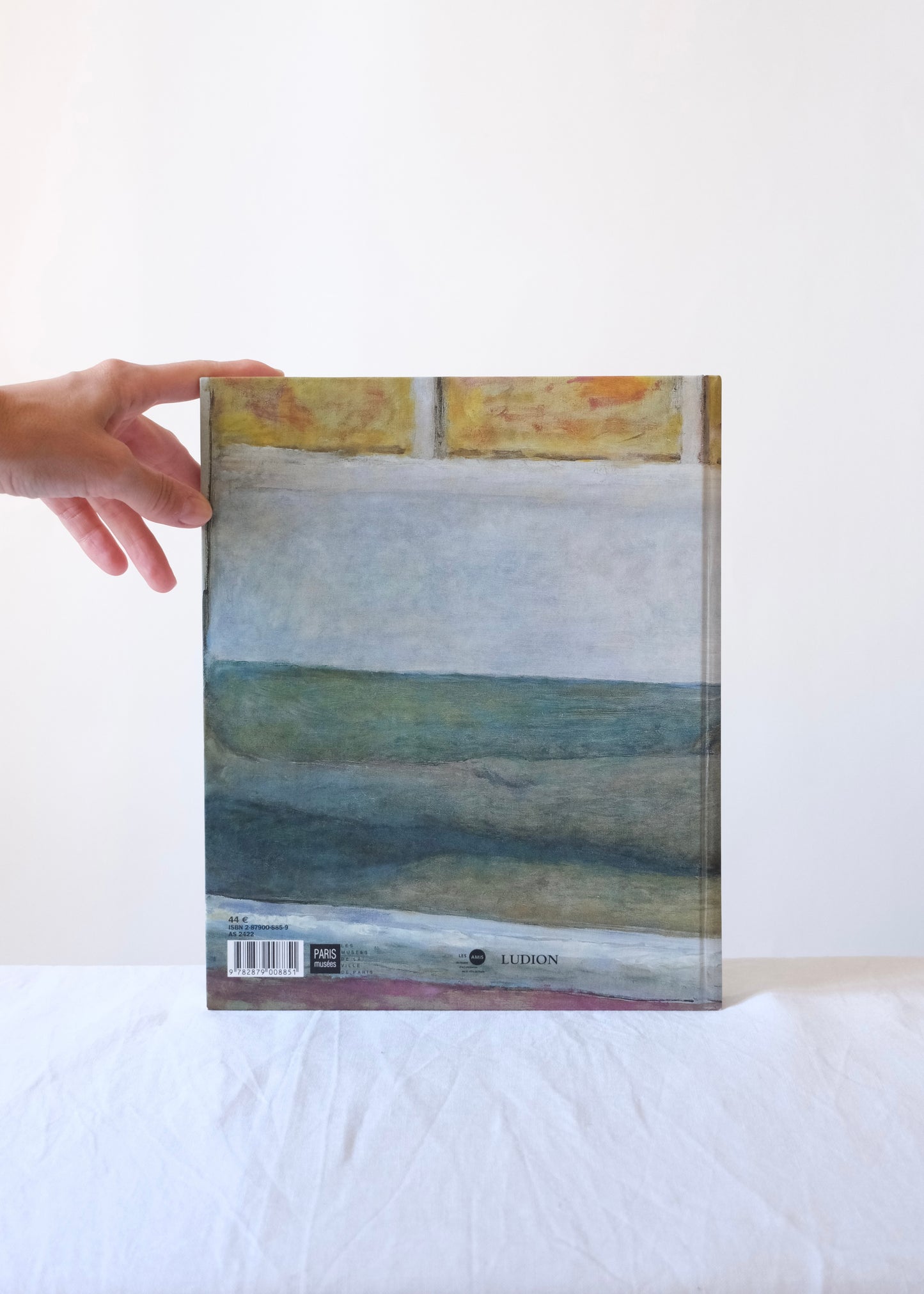Bonnard, l'oeuvre d'art, un arrêt du temps