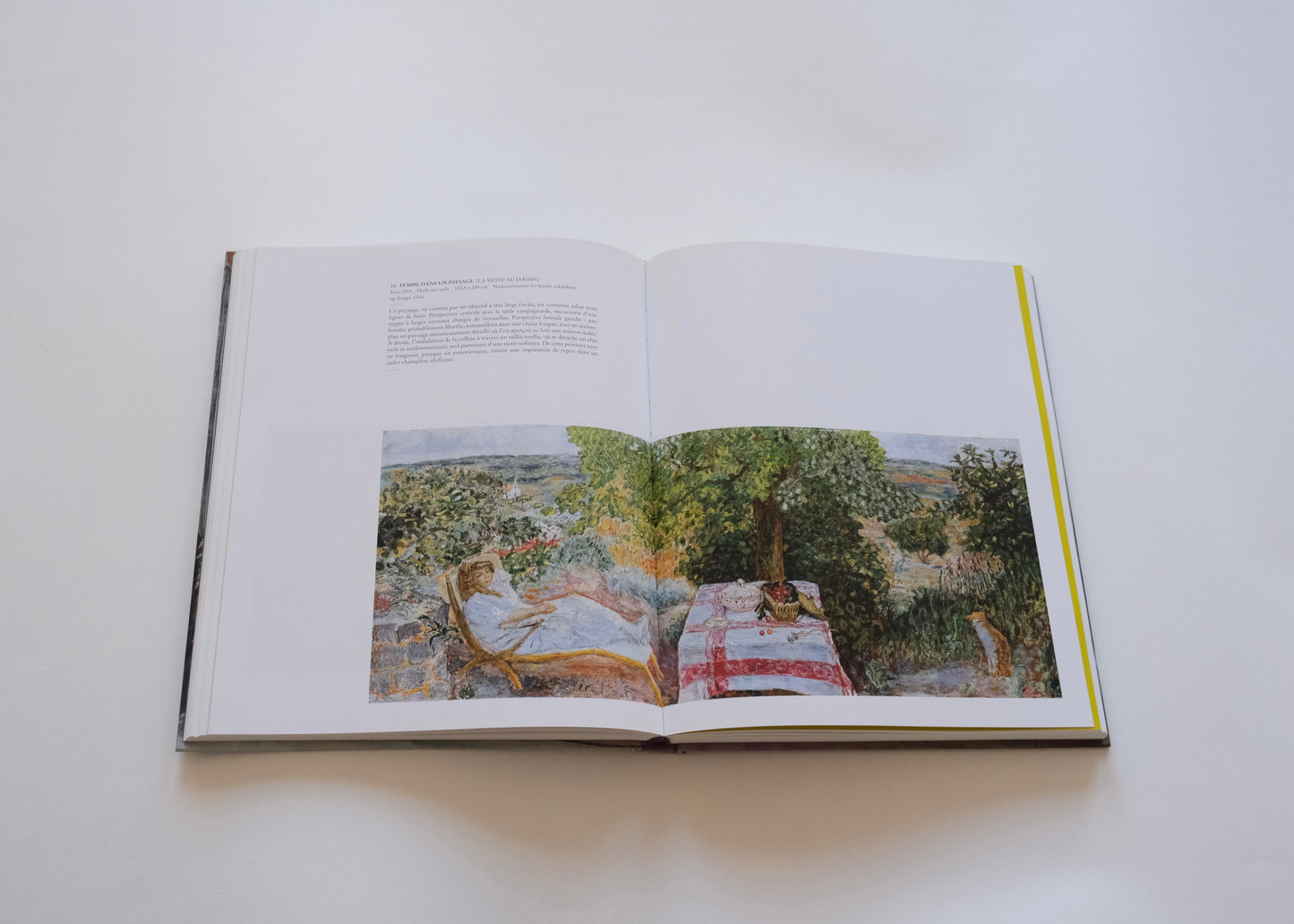 Bonnard, l'oeuvre d'art, un arrêt du temps