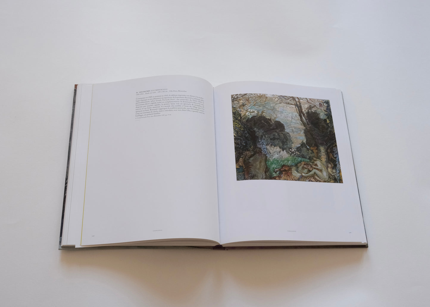 Bonnard, l'oeuvre d'art, un arrêt du temps