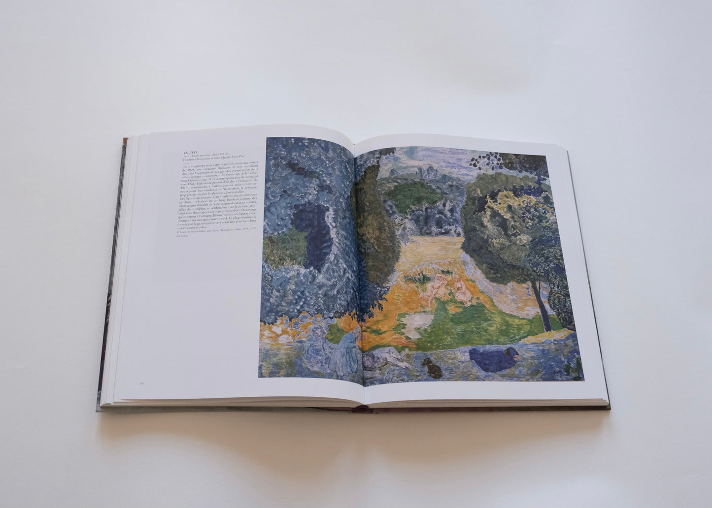 Bonnard, l'oeuvre d'art, un arrêt du temps
