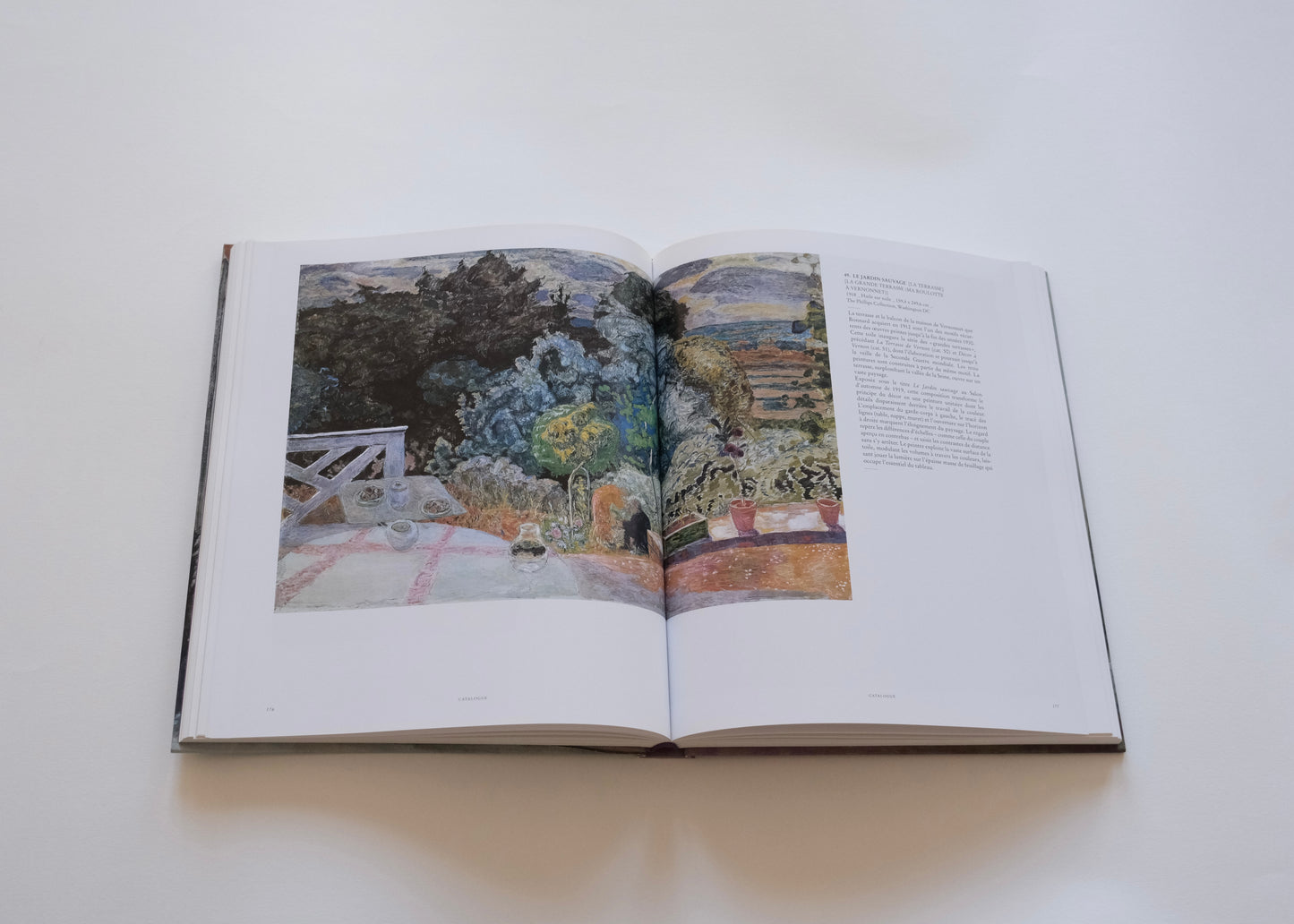 Bonnard, l'oeuvre d'art, un arrêt du temps