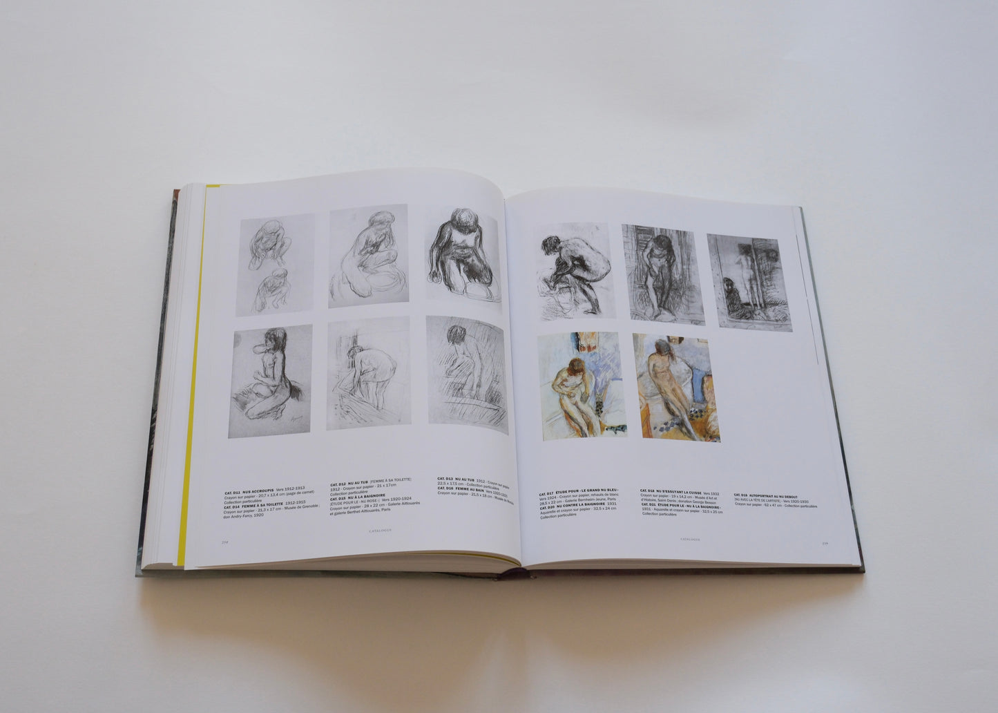 Bonnard, l'oeuvre d'art, un arrêt du temps