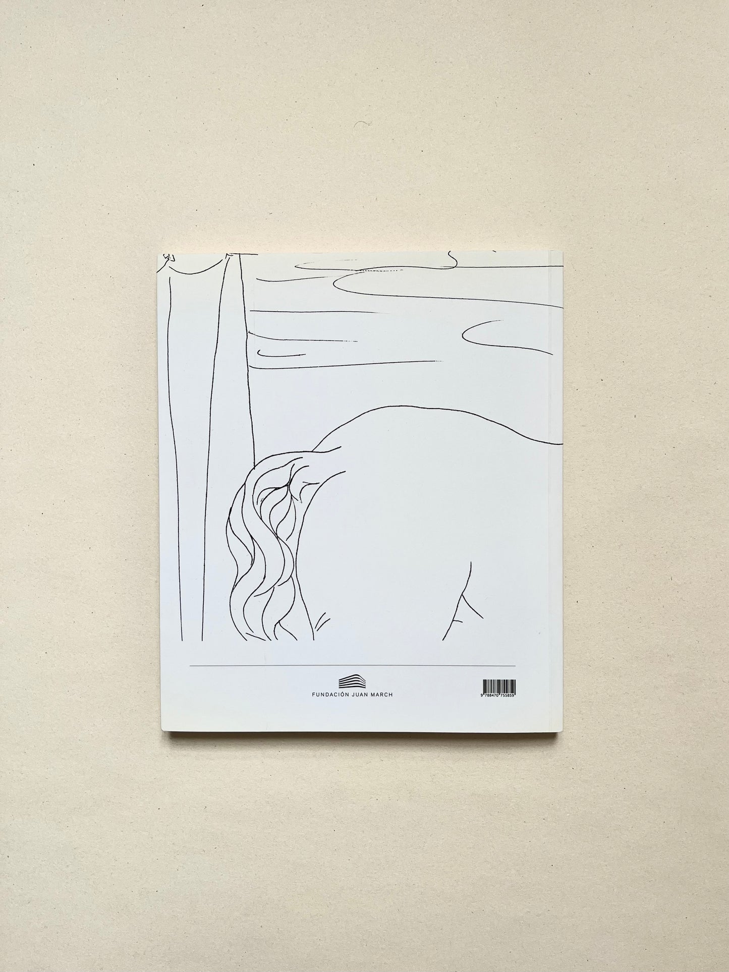Picasso Suite Vollard