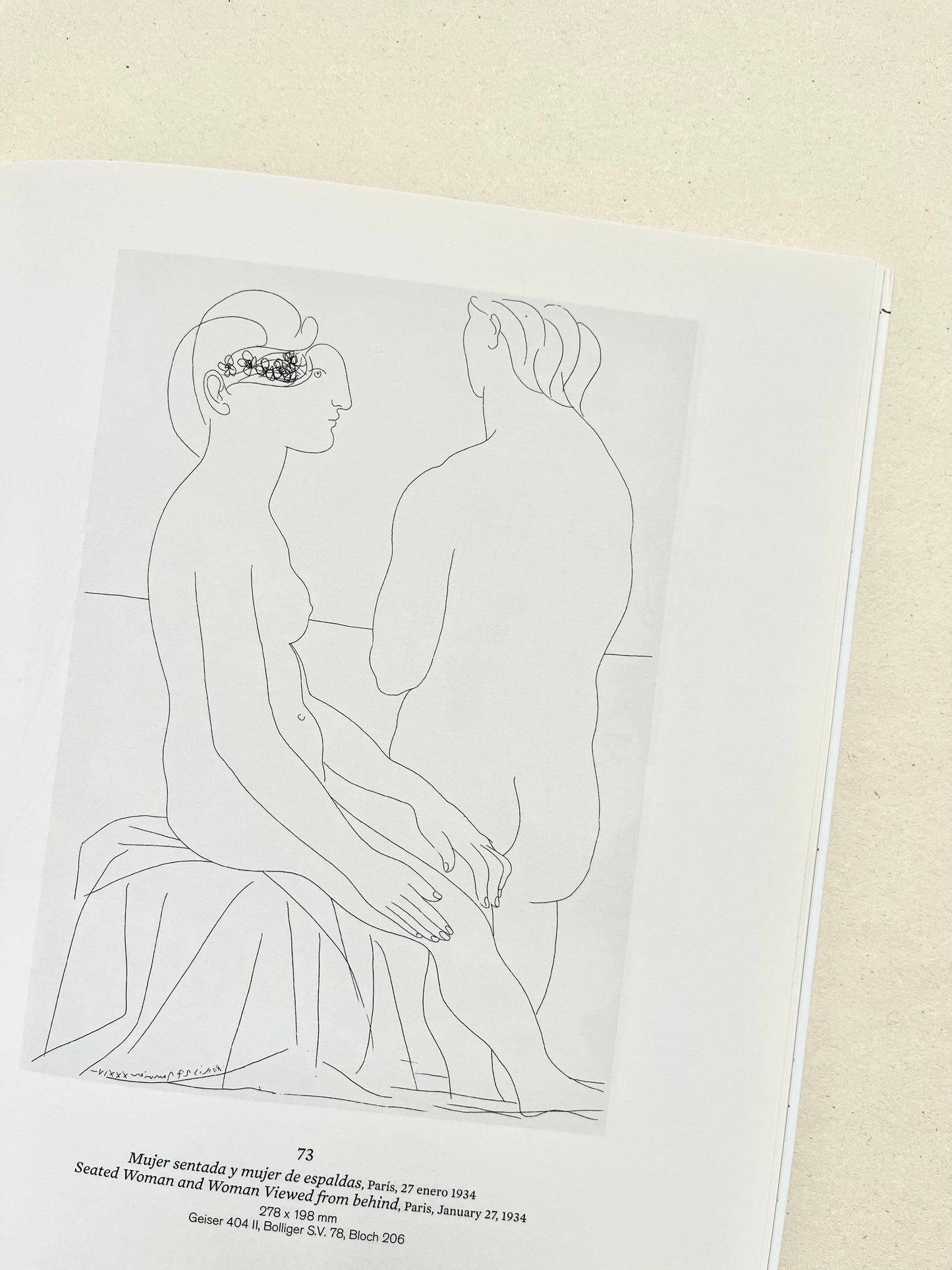 Picasso Suite Vollard