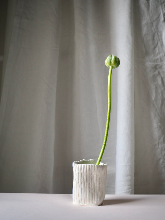 Le vase XS