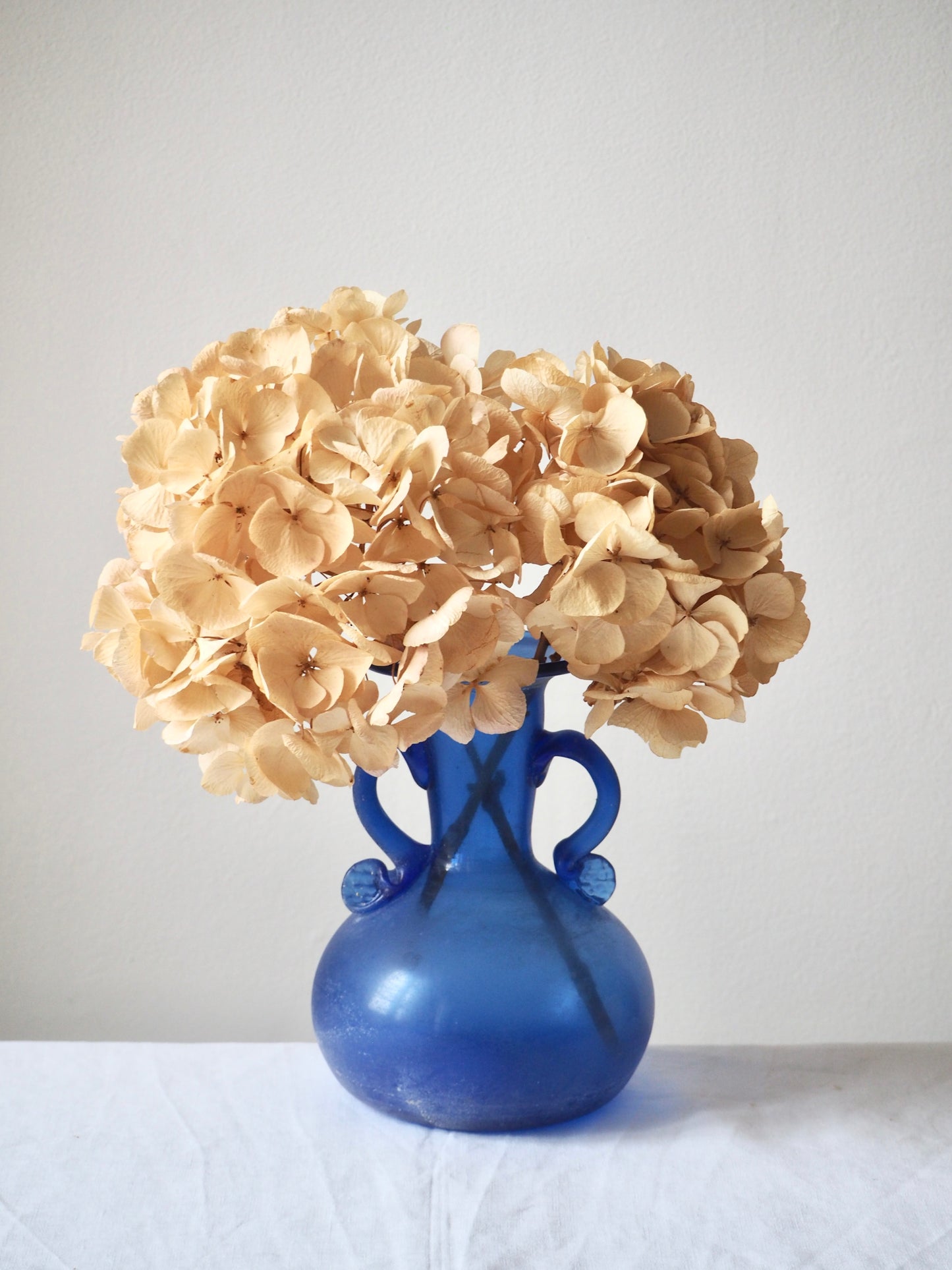 Le vase scavo bleu cobalt