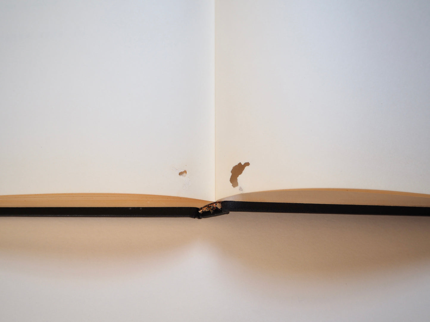 Paul Klee, aux sources de la peinture