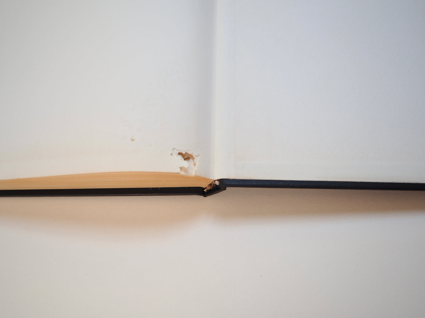 Paul Klee, aux sources de la peinture