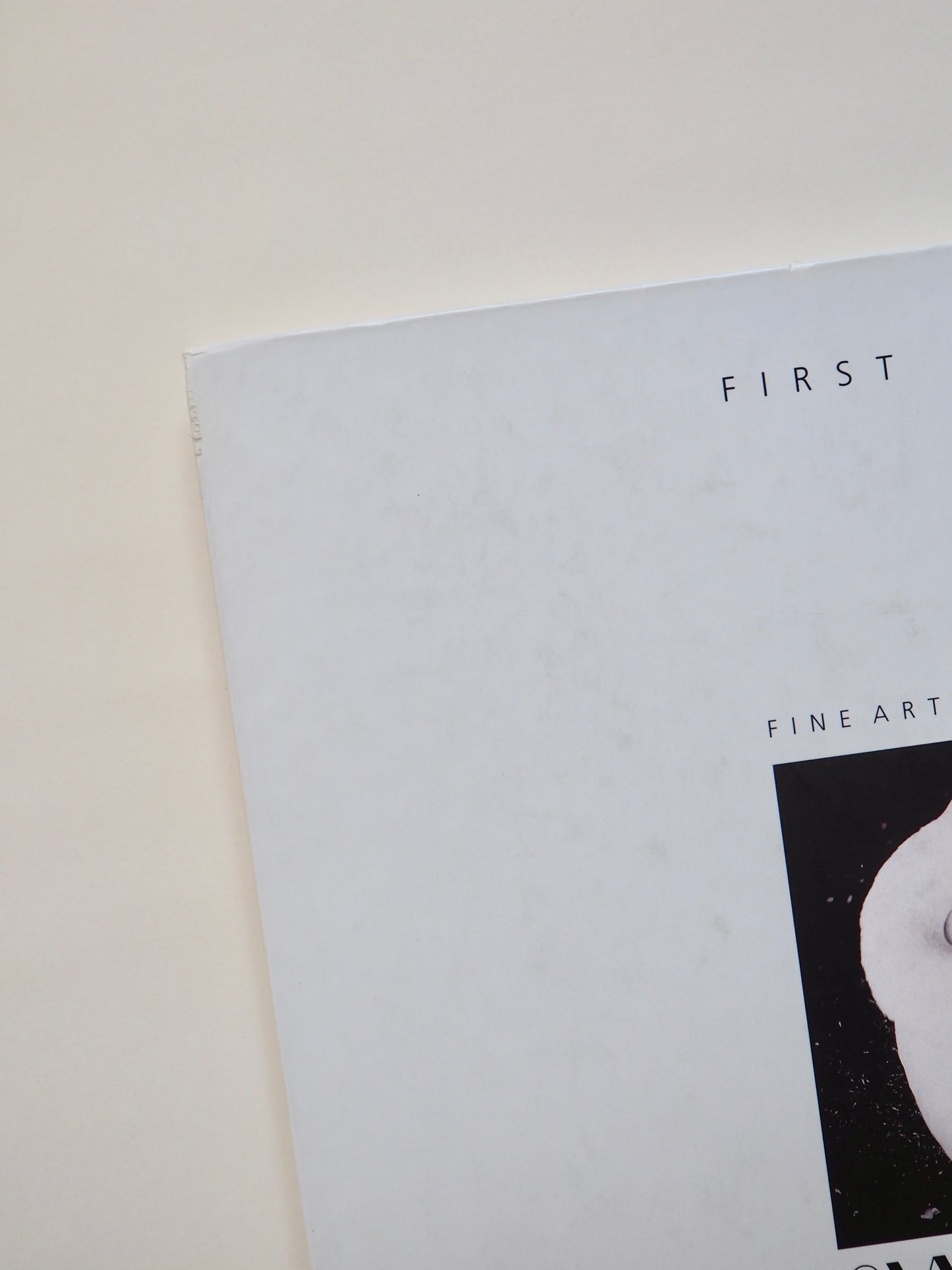 Swanstock, fine art photography