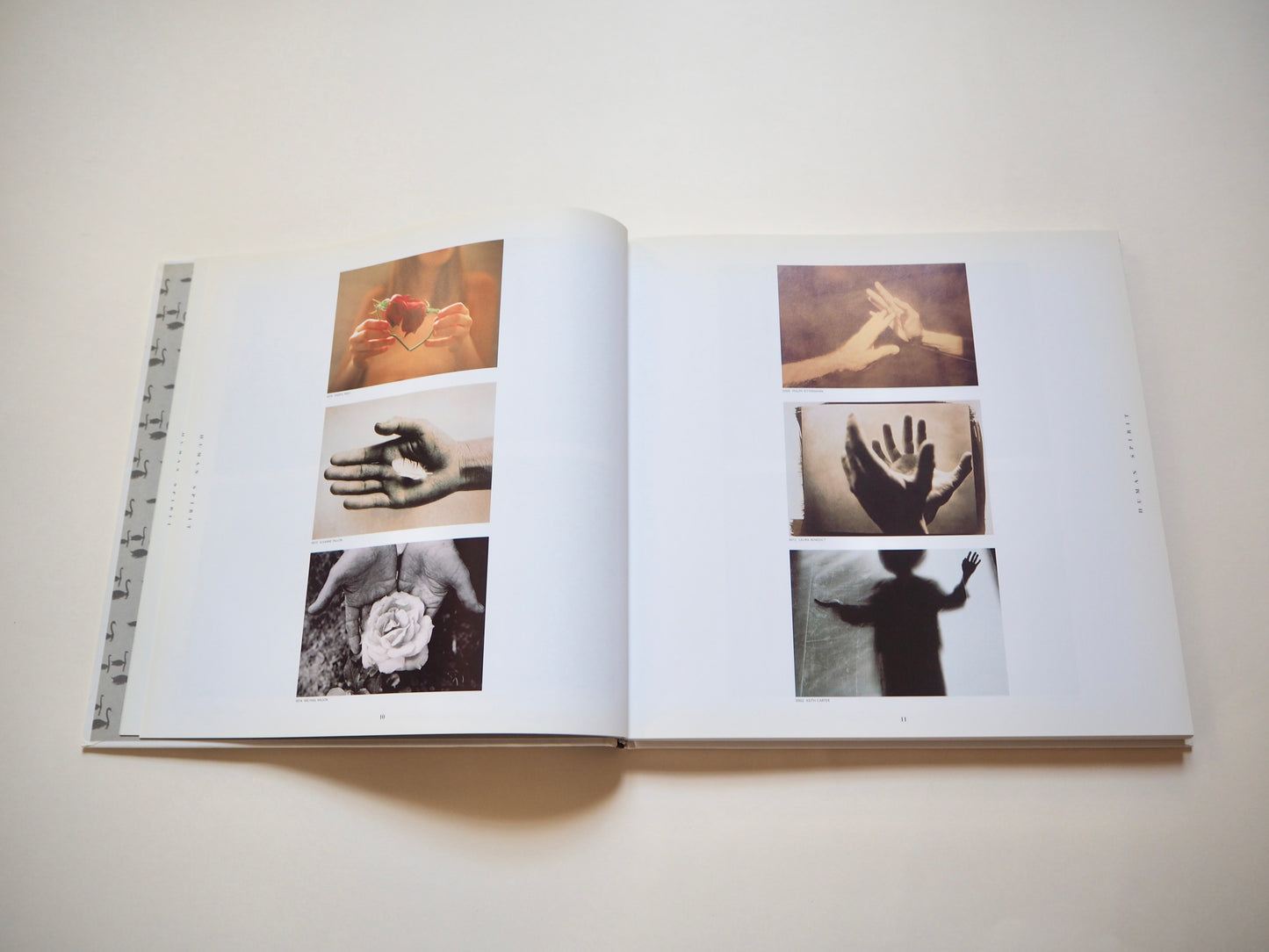 Swanstock, fine art photography