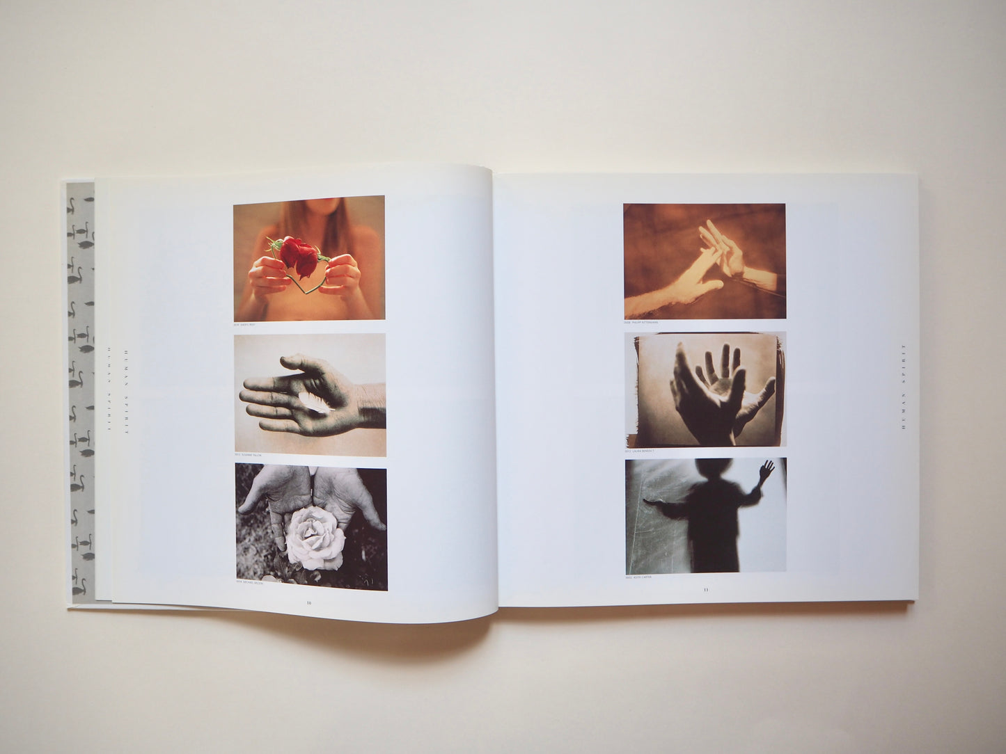 Swanstock, fine art photography