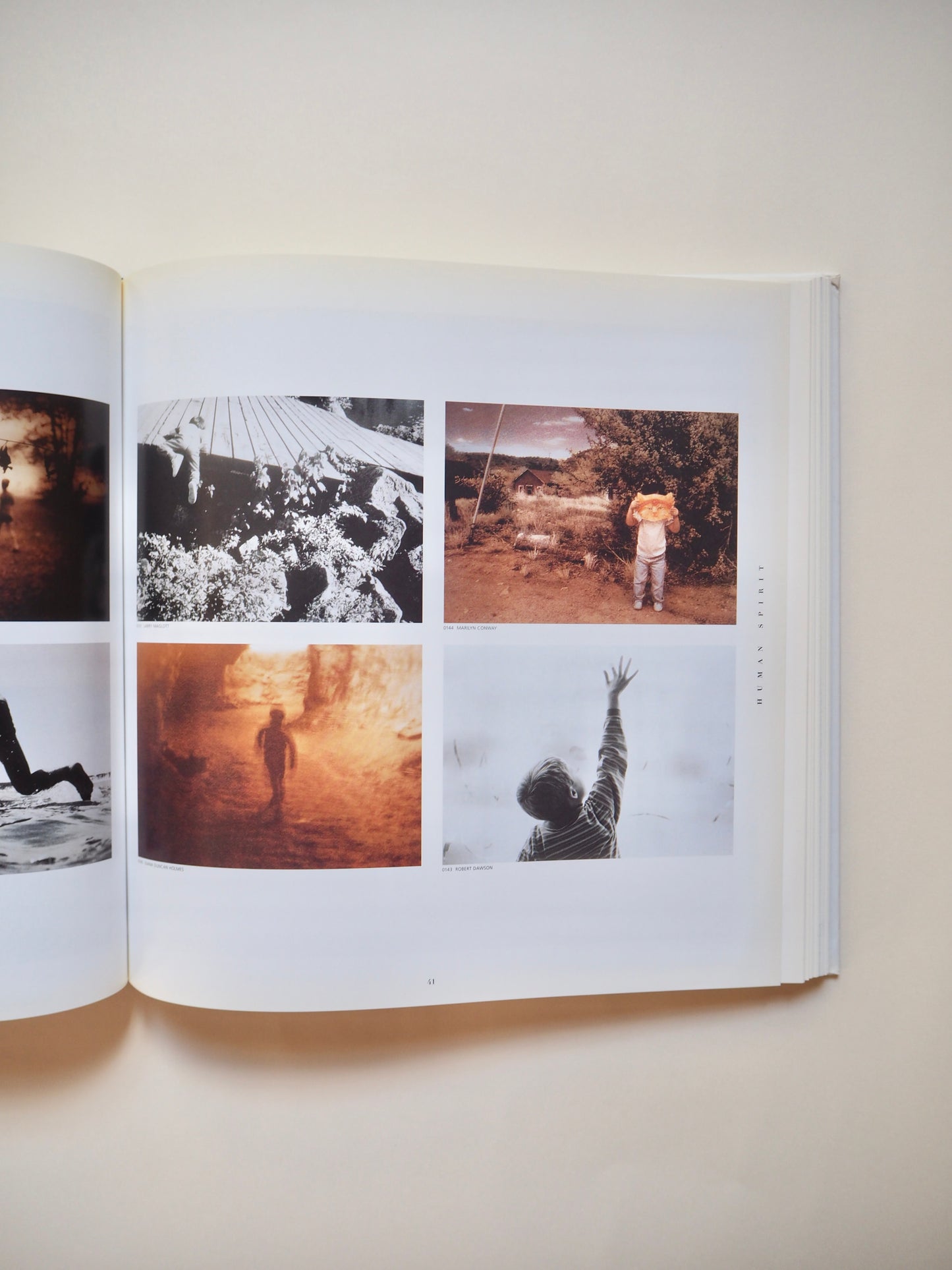 Swanstock, fine art photography