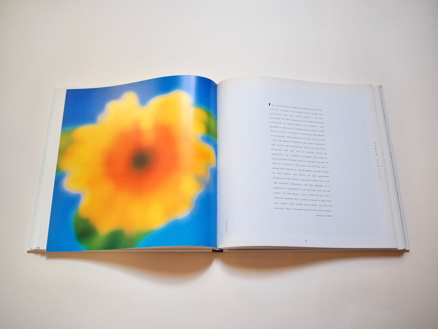 Swanstock, fine art photography