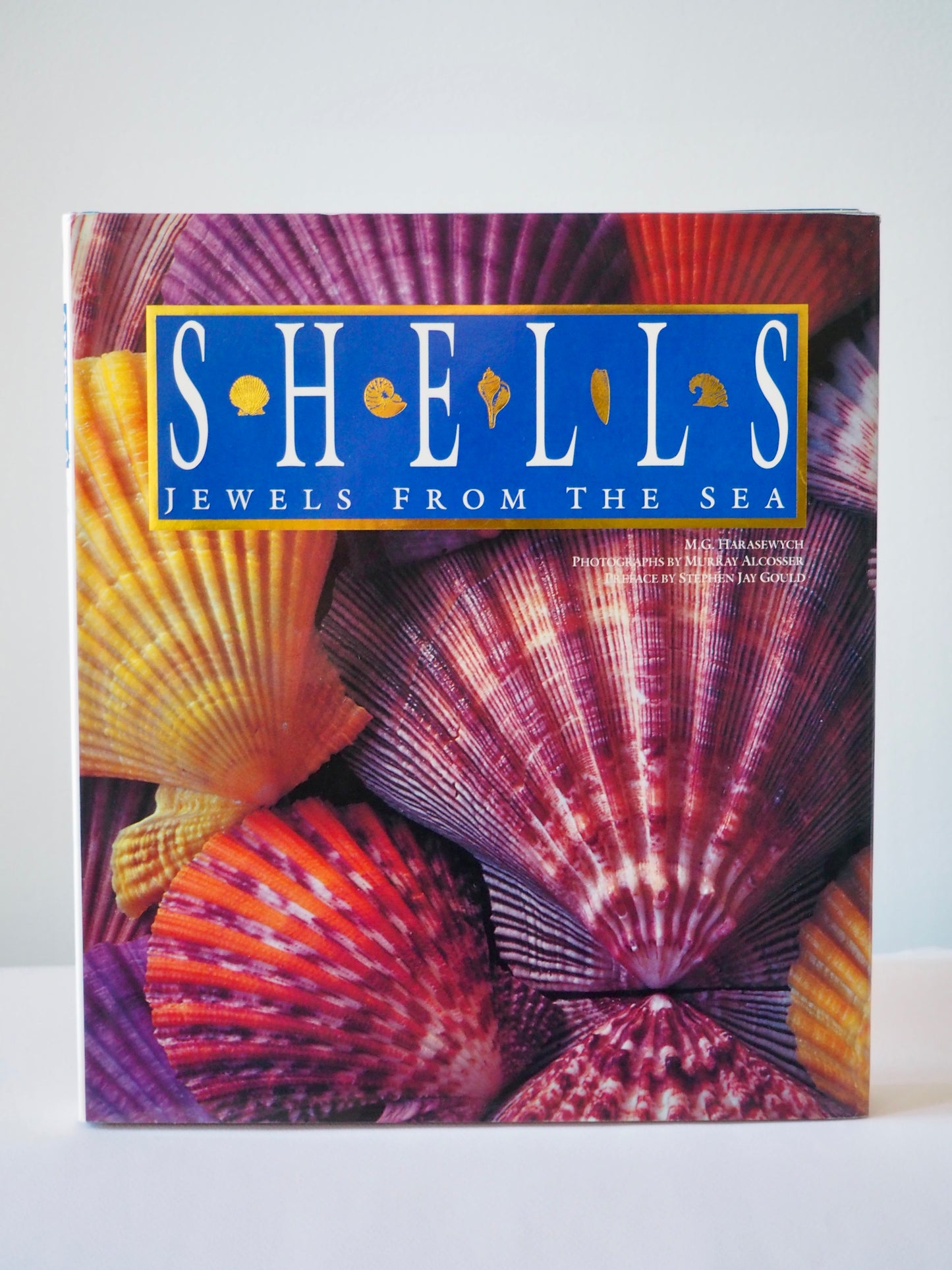 Shells, jewels from the sea