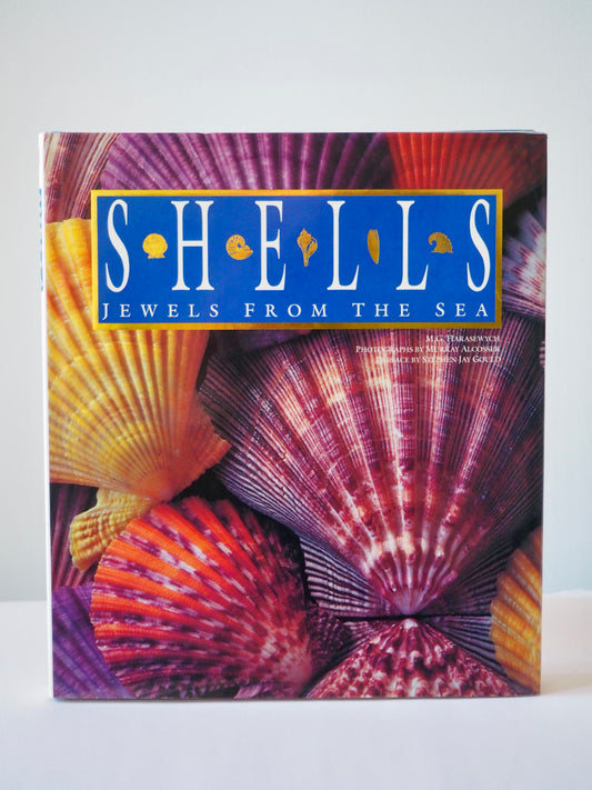 Shells, jewels from the sea