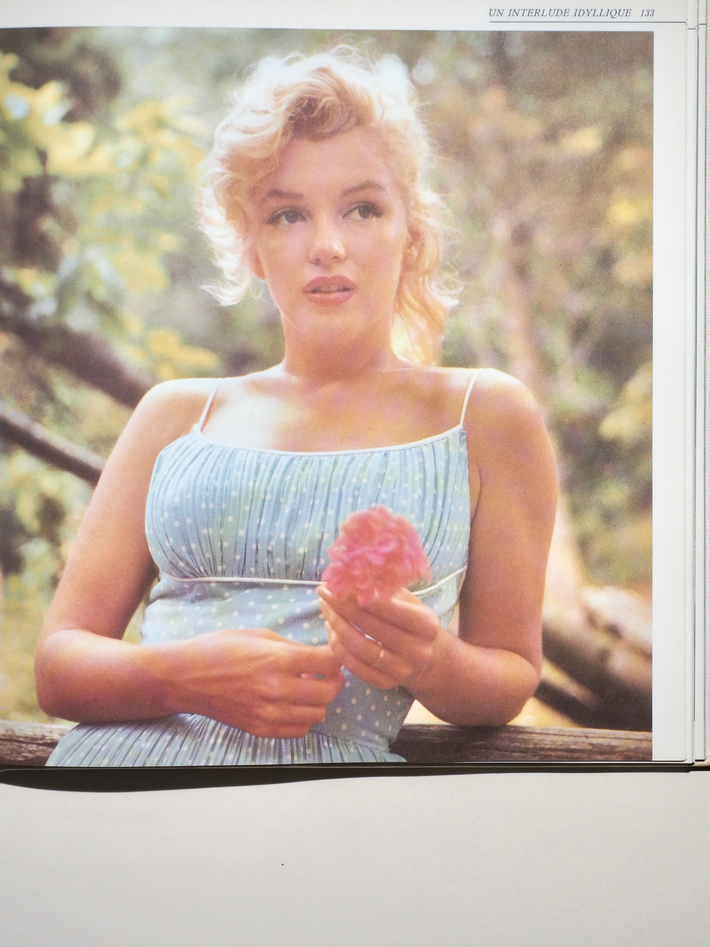 Marilyn et ses amis