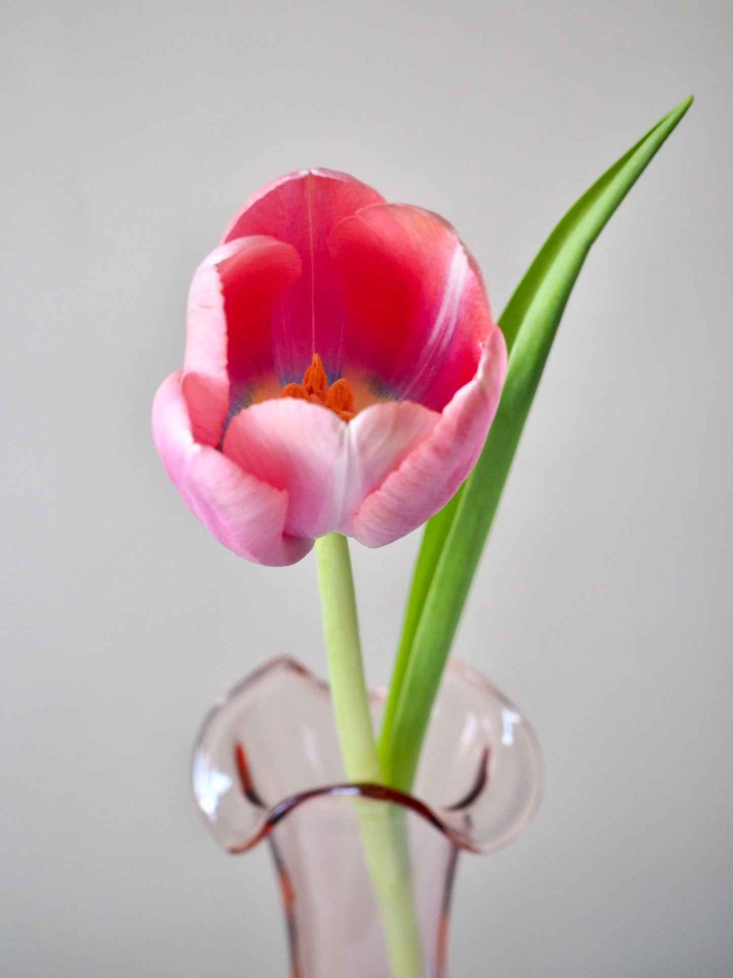 Vase en verre rosaline